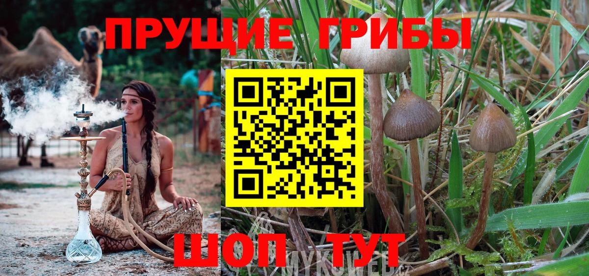 Псилоцибиновые грибы MAGIC MUSHROOMS Краснотурьинск